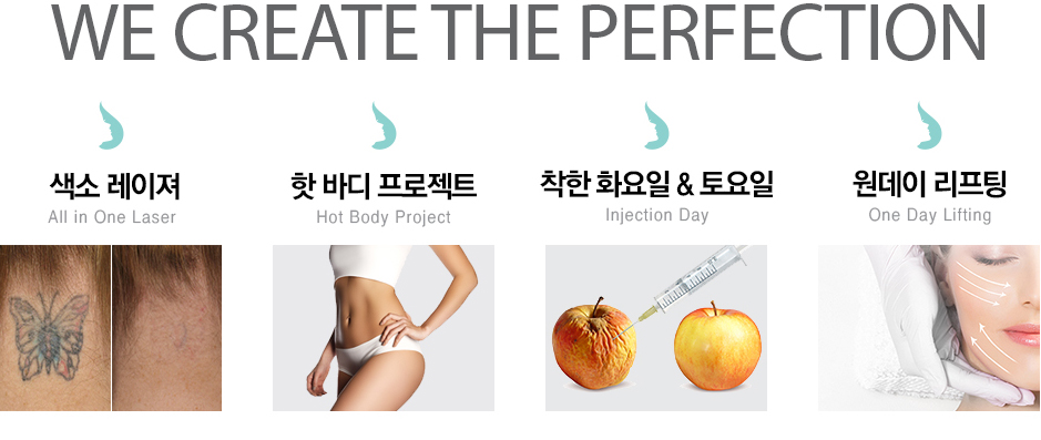 We Create the Perfection/색소 레이져 All in One Lase/핫 바디 프로젝트 Hot Body Project/착한 화요일 & 토요일 Injection Day/원데이 리프팅 One Day Lifting